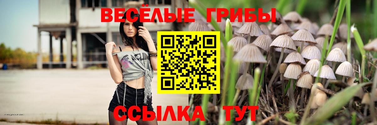 Сокол  Галлюциногенные грибы MAGIC MUSHROOMS  Вход с VPN 